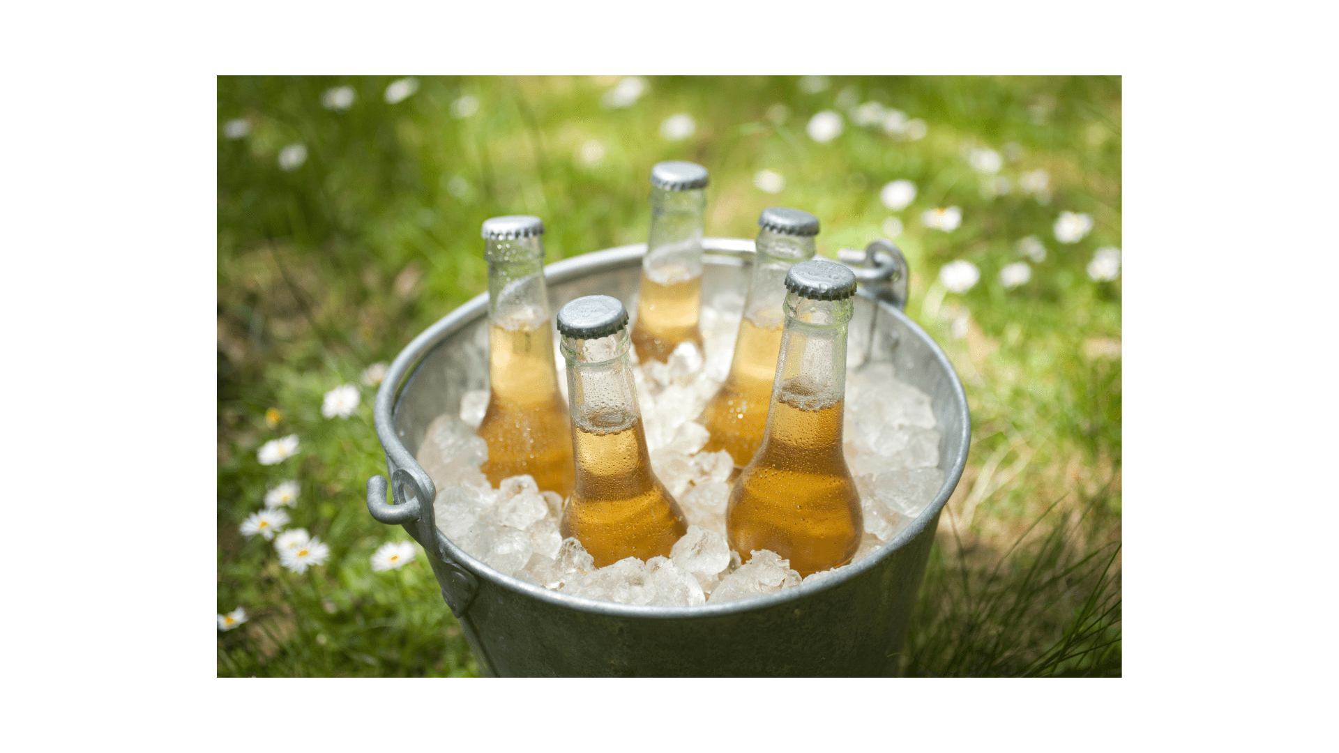 A bucket filled with ice and five bottles of ;ager, sits on a patch of grass.
